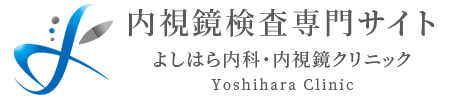 内視鏡検査専門サイトを公開しました